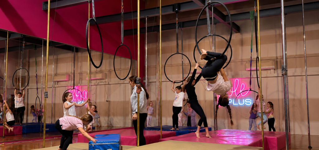 Kids Arial Lyra Dance Gymnastics classes